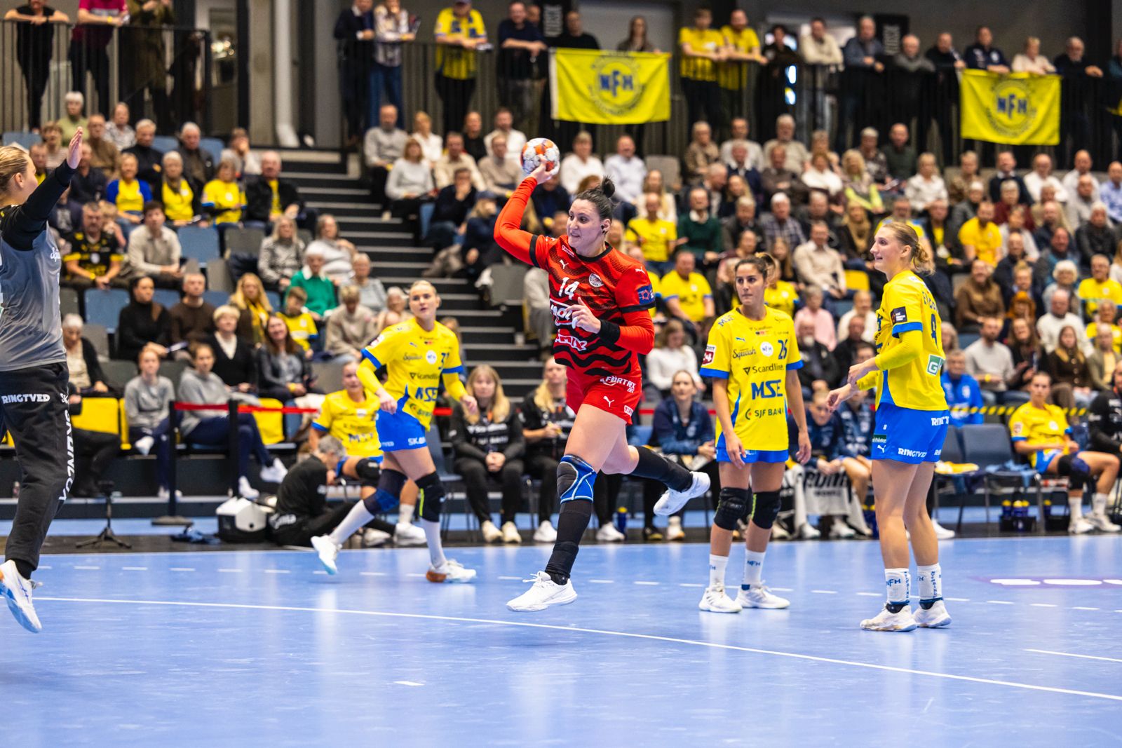 EHFTV | Home Page
